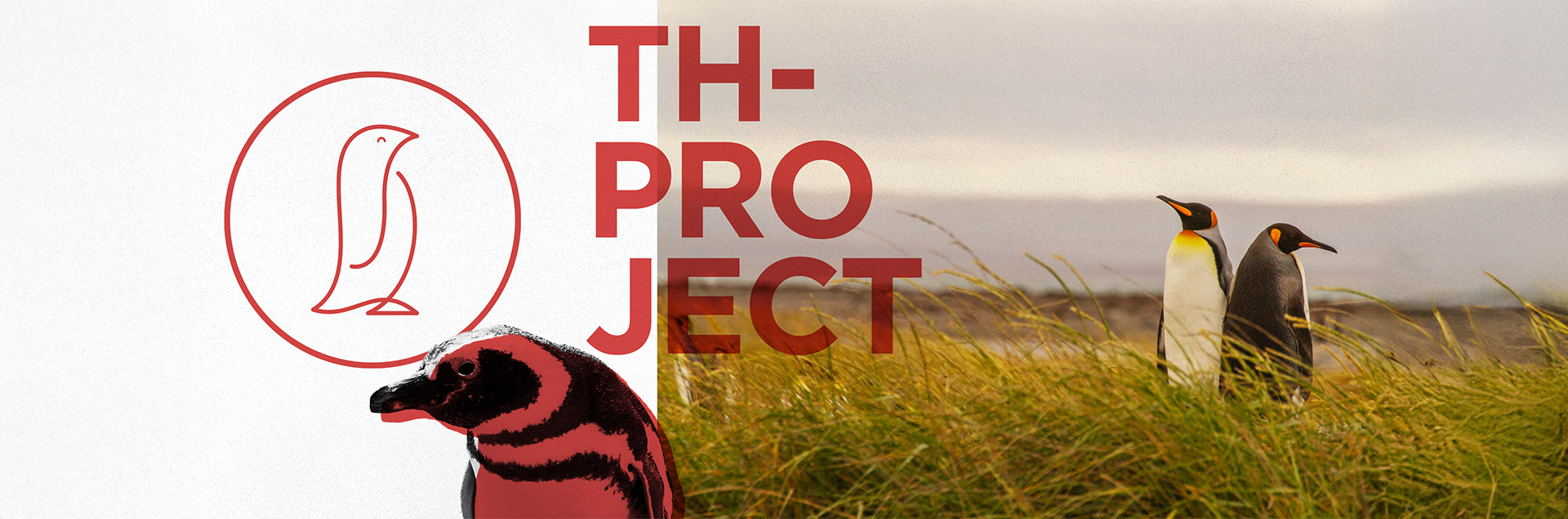 Th_Project - Estúdio de Design e Branding
